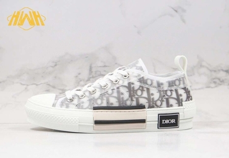 Dior B23 OBLIQUE White & Black